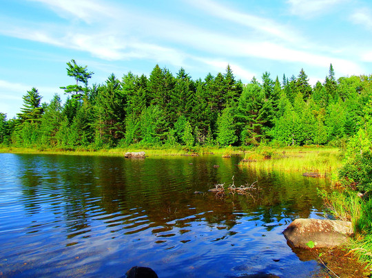 Moose Country Safaris