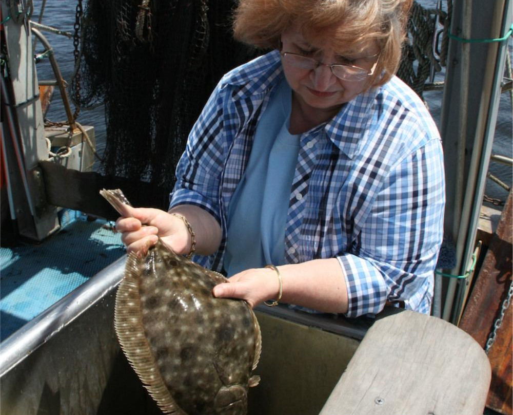 Project Oceanology-格罗顿必去景点