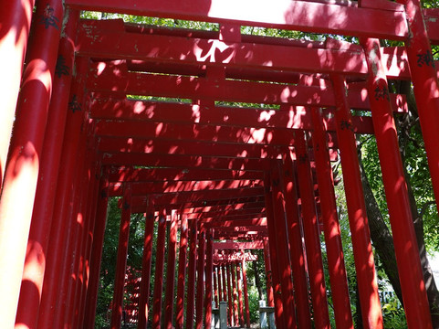 Kamo Shrine-一宫市必去景点