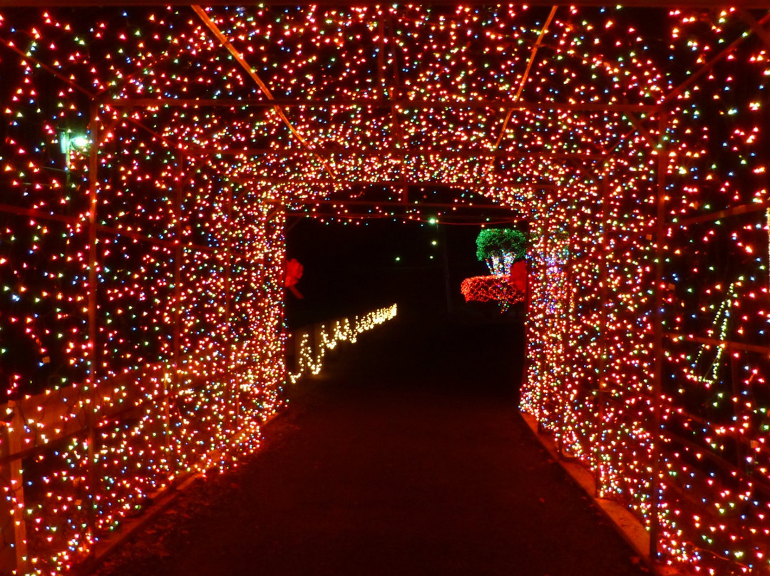 Snead旅游景点-Arab Historic Village