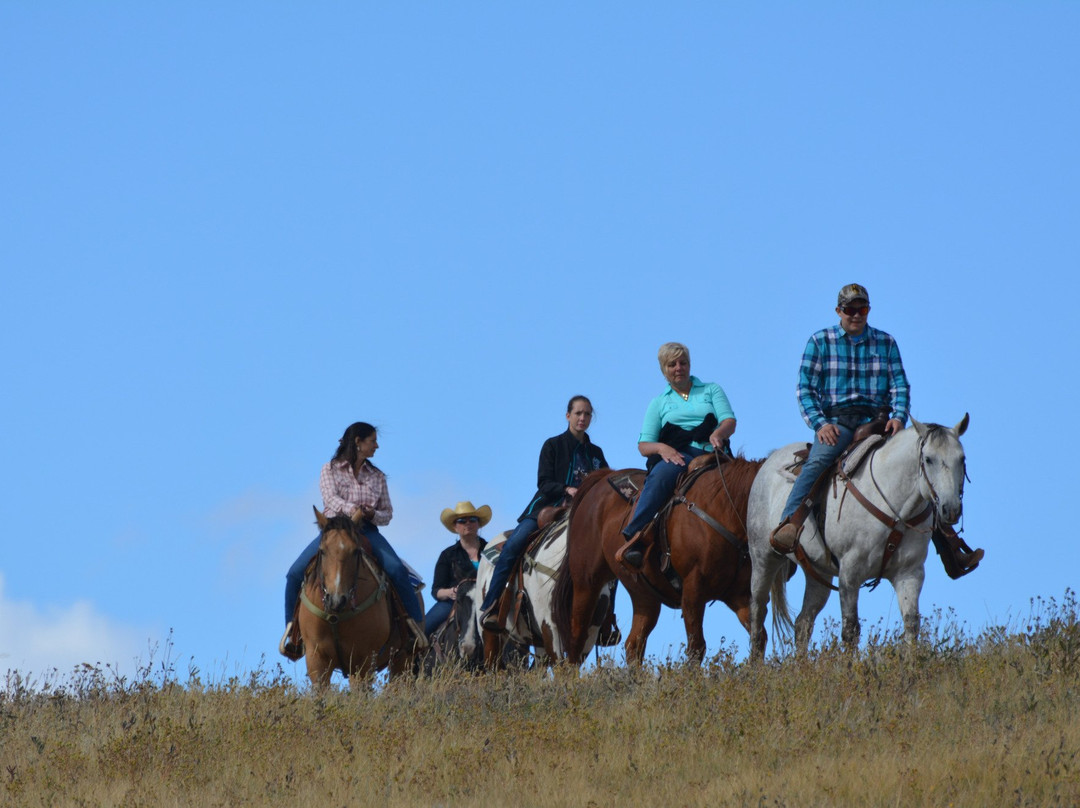 Bit-O-Wyo Ranch-夏延必去景点