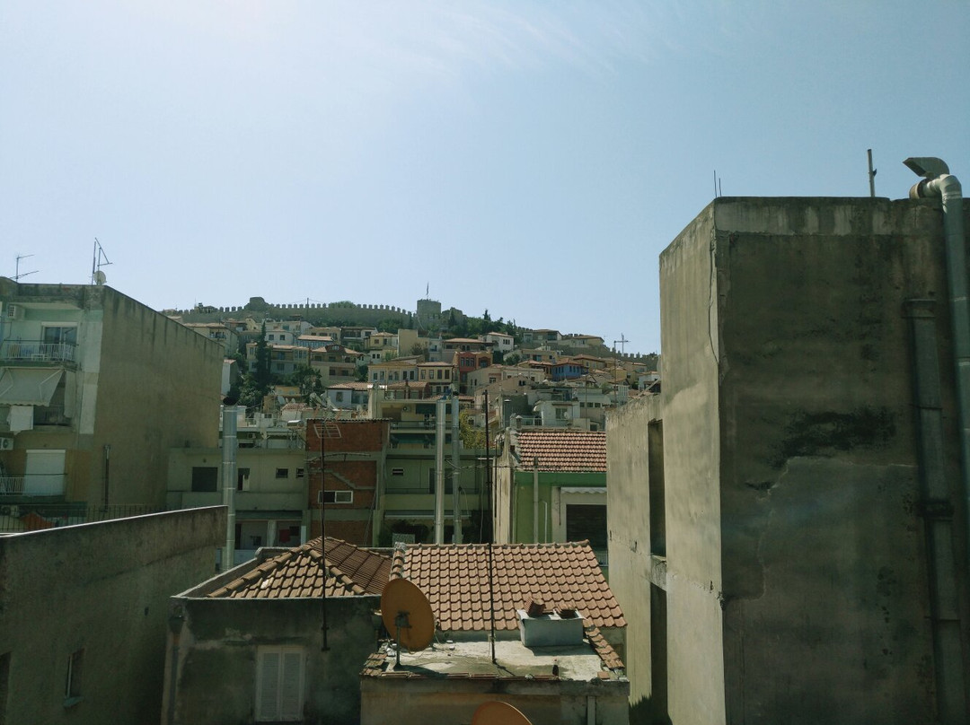 Minimal Culture主图