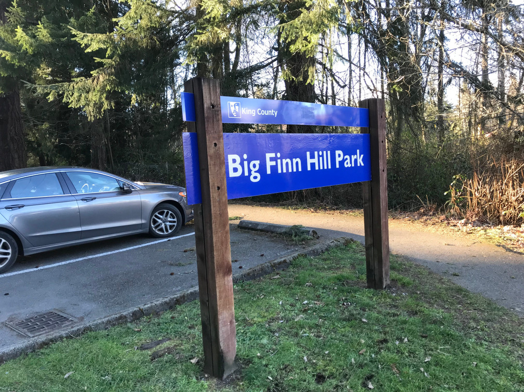 Big Finn Hill Park景点图片