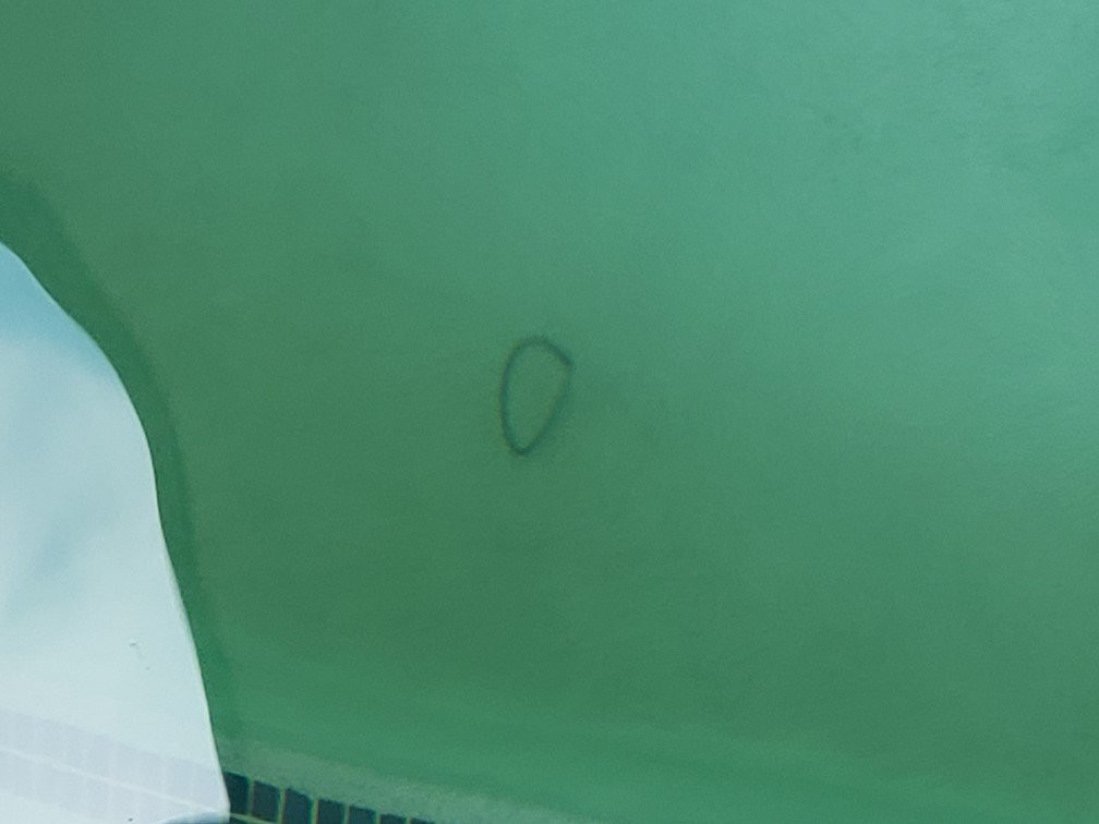 Baymont Inn & Suites by Wyndham Sturgis主图