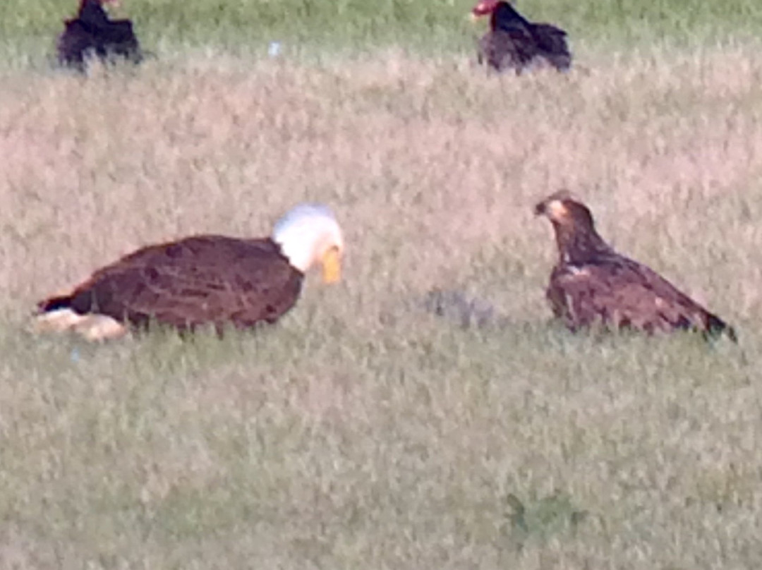 GRIP Outdoor Kingsport-金斯波特必去景点