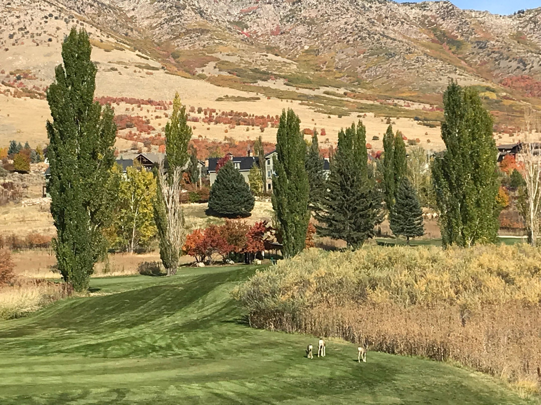 Wolf Creek Resort - Golf Course景点图片