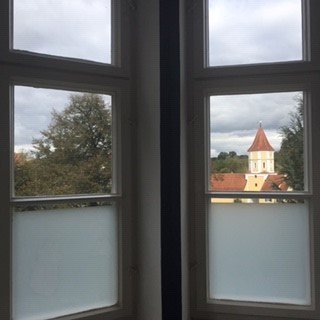 Hotel Schloss Blumenthal-酒店景观