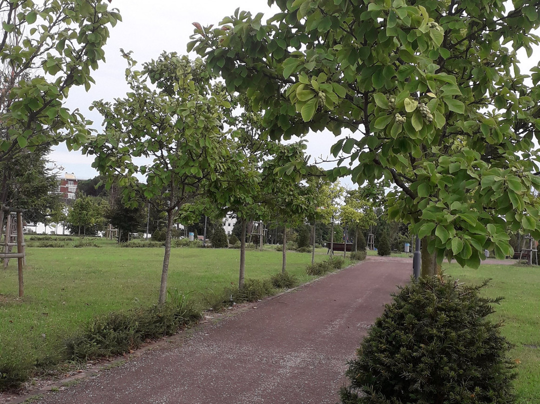 Parco Moretti景点图片