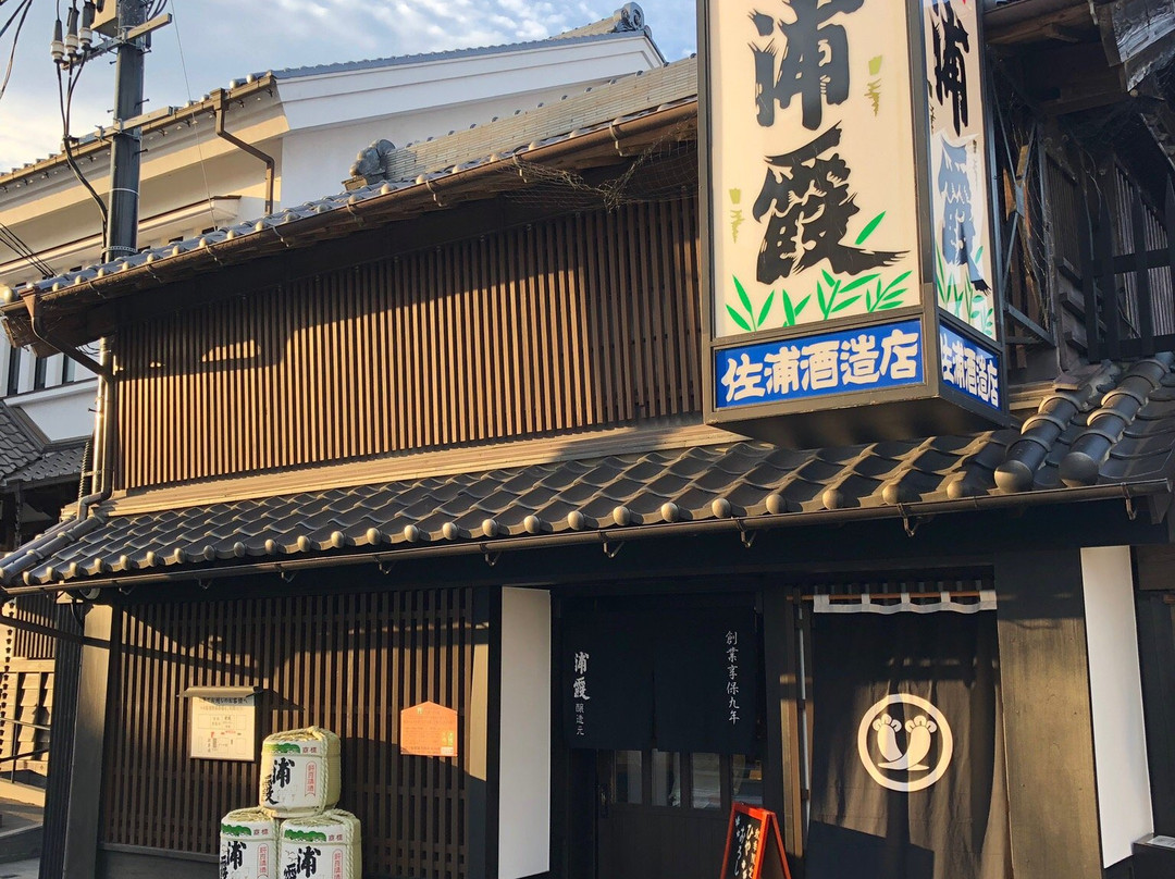 Urakasumijyozomotosaura-盐灶市必去景点