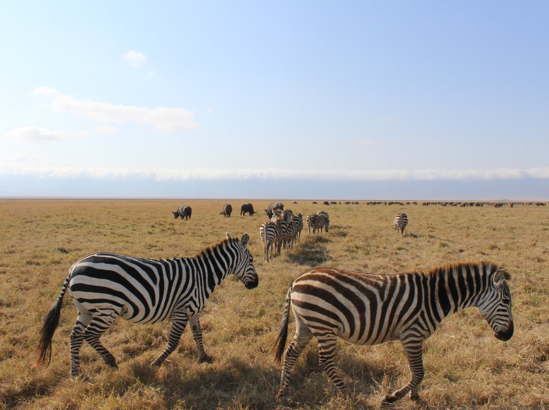 Uisso Adventures and Safari景点图片