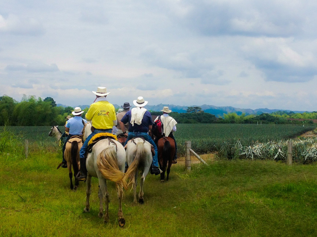 Cabalgatas El Carmelo-La Tebaida必去景点
