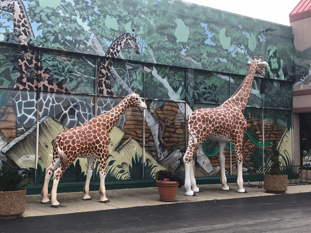 Safari Land-Villa Park必去景点