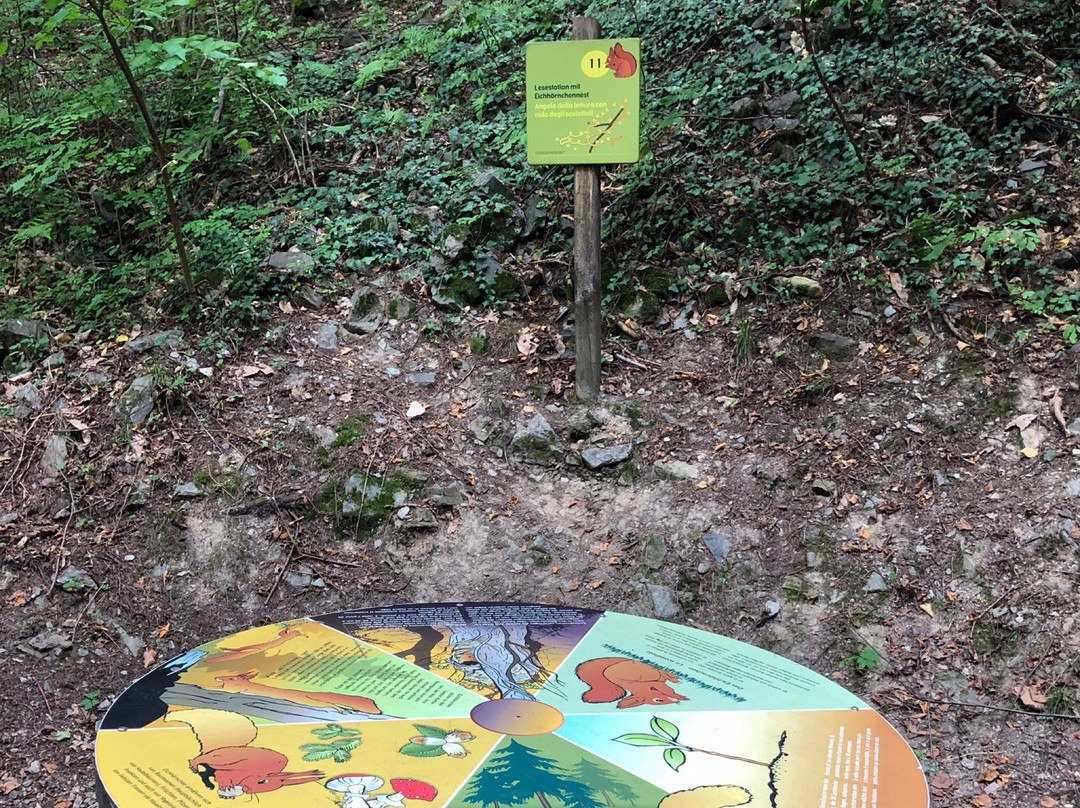 Natur- und Erlebnisweg Marling景点图片
