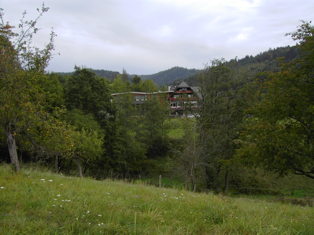 Weinhotel Pfeffer & Salz主图