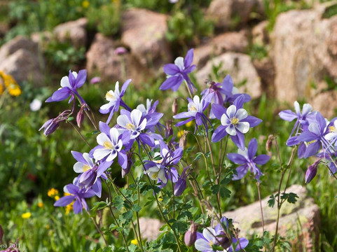 Colorado Photo Workshops-杜兰戈必去景点