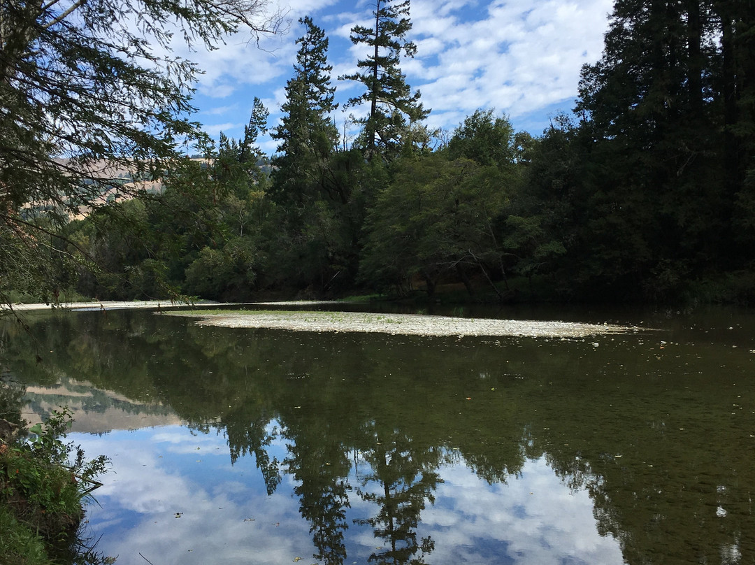 Hendy Woods State Park景点图片