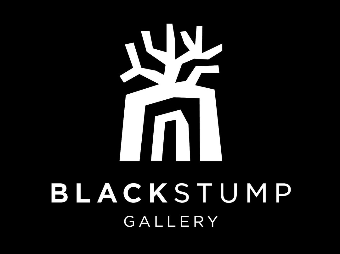 Black Stump Gallery景点图片