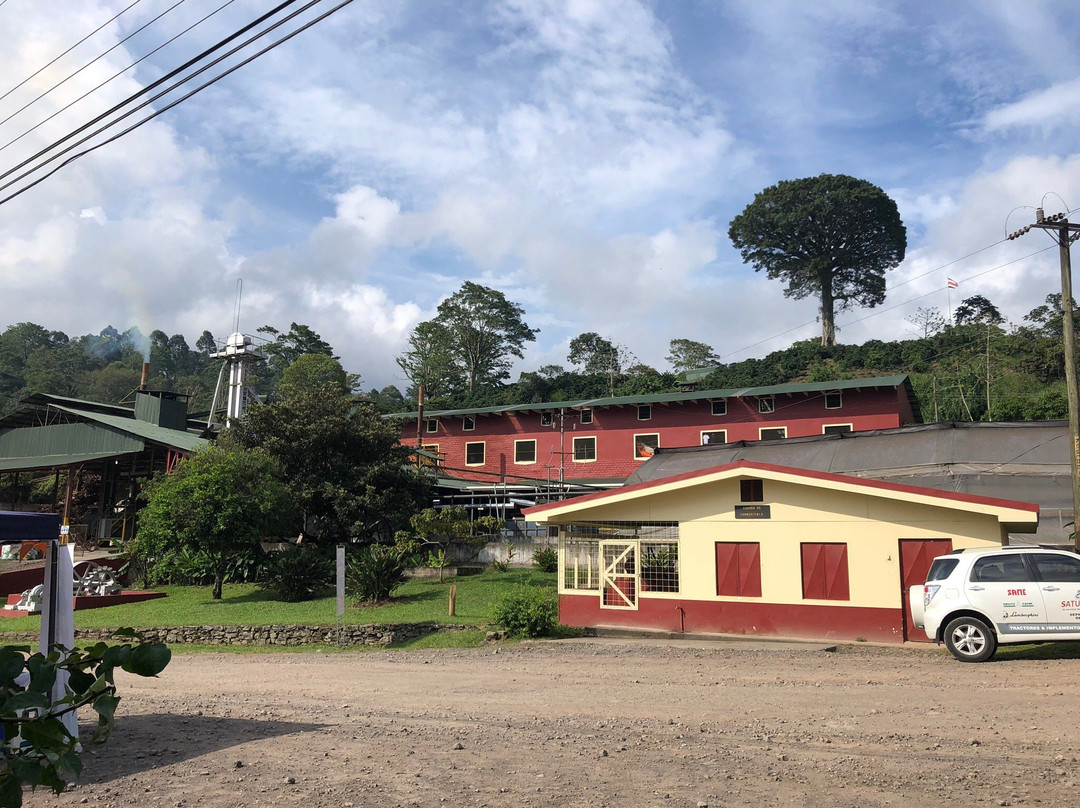 Aquiares Coffee & Community Experience-图里亚尔瓦必去景点