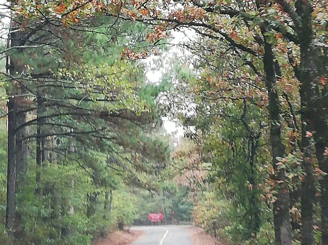 Petit Jean State Park景点图片
