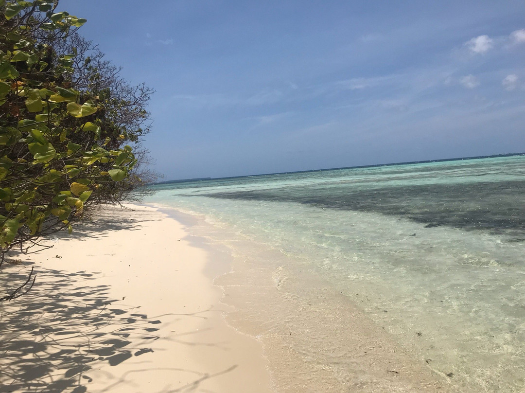 Menjangan Kecil Island景点图片