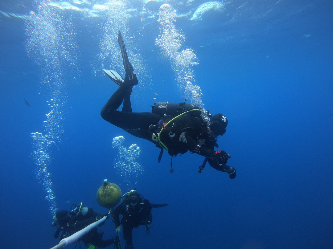 Voglia di Mare Diving Center景点图片