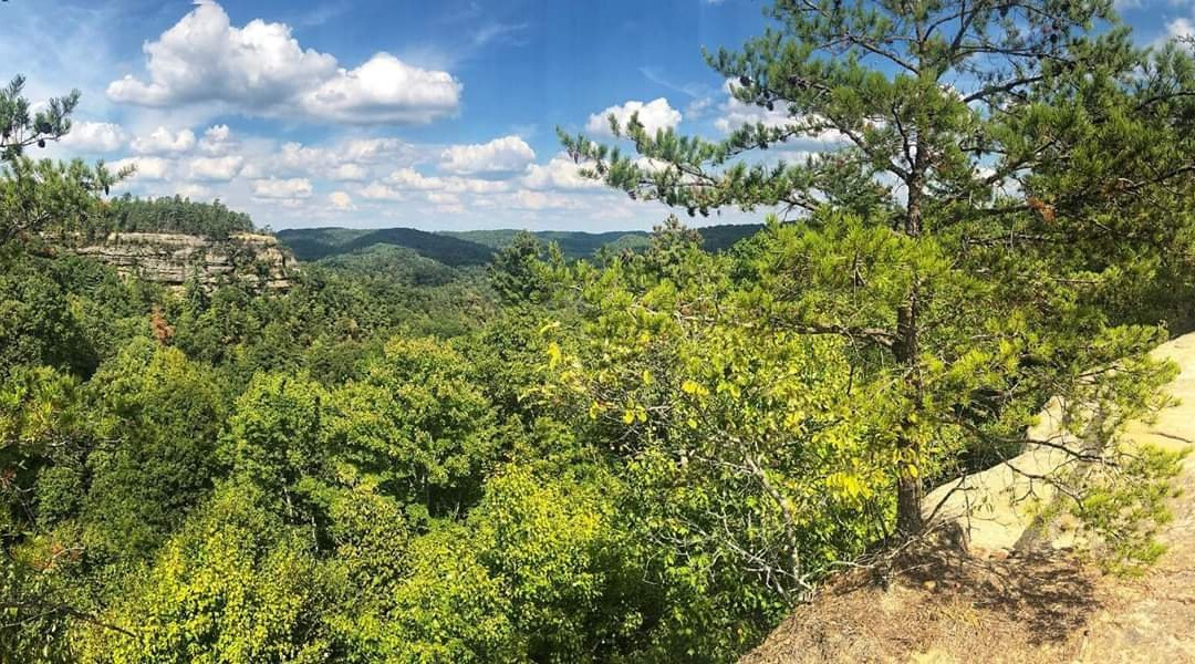 Daniel Boone National Forest-Winchester必去景点