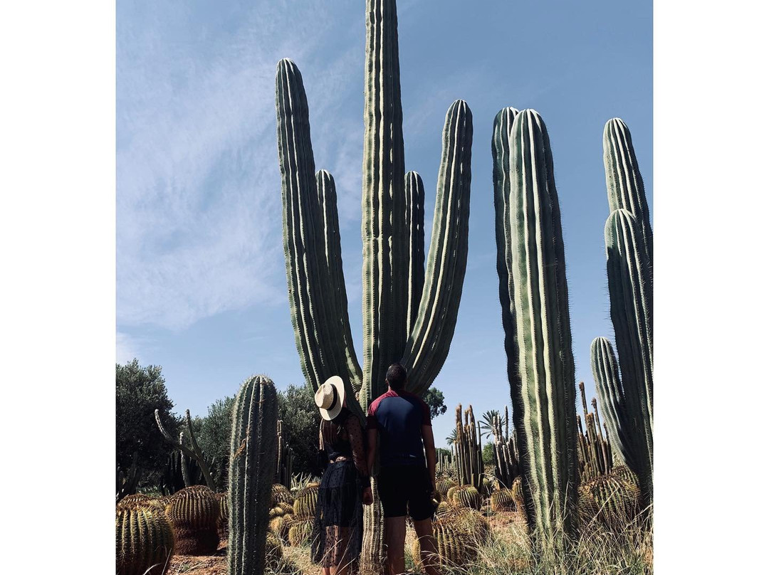 Cactus Thiemann景点图片