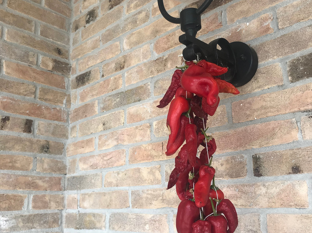 Agriturismo Olivuccia主图