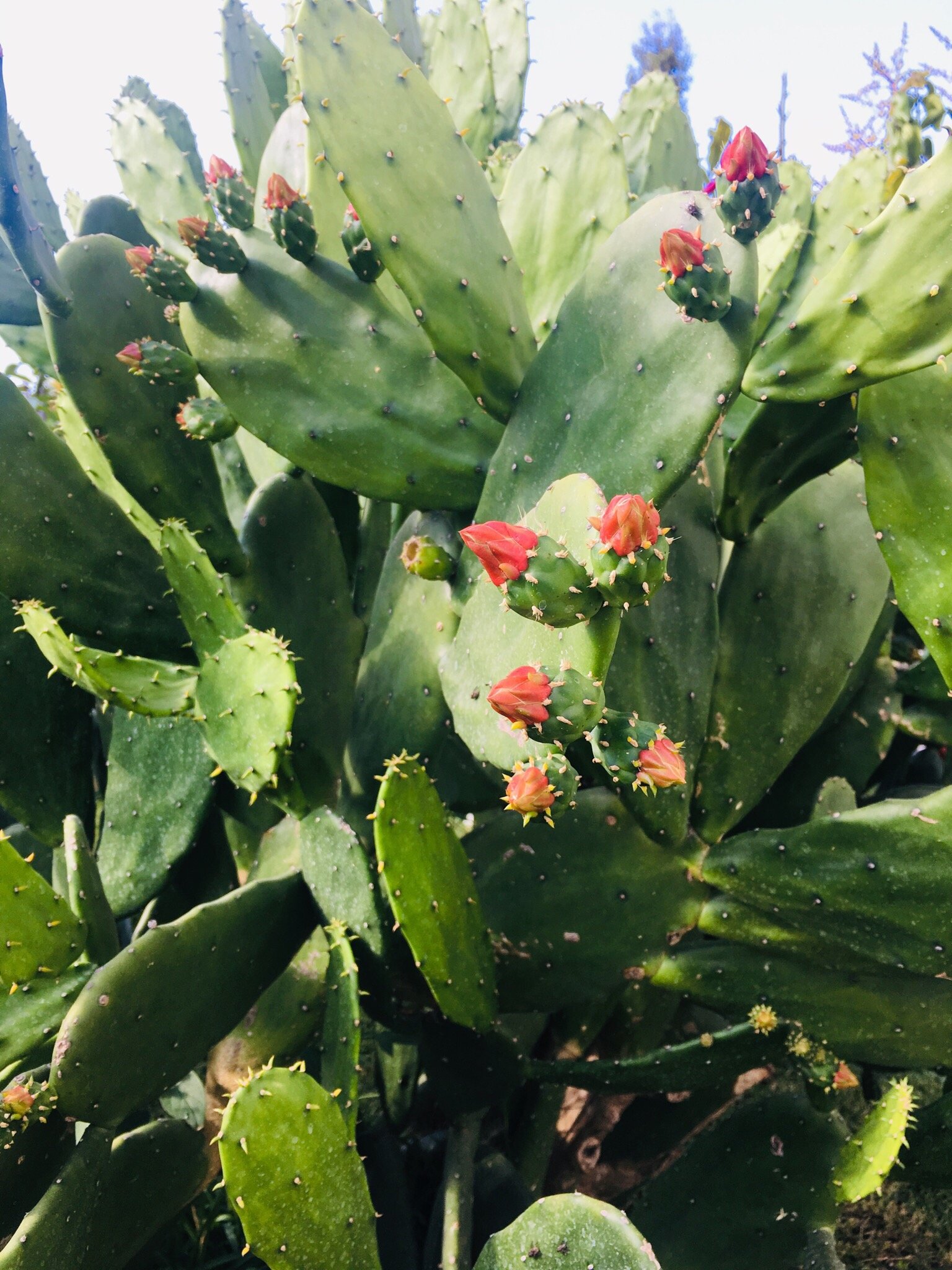 Mapa Lake View Bungalow-官方