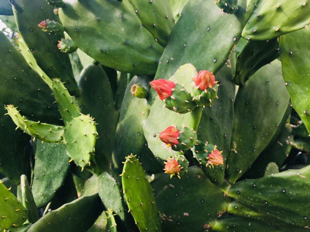 Mapa Lake View Bungalow主图