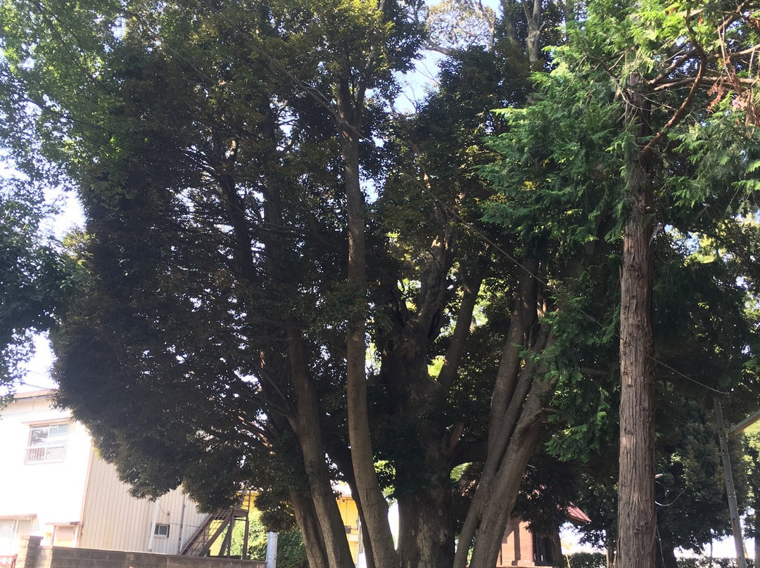 Nakagoami Shrine-阿见町必去景点
