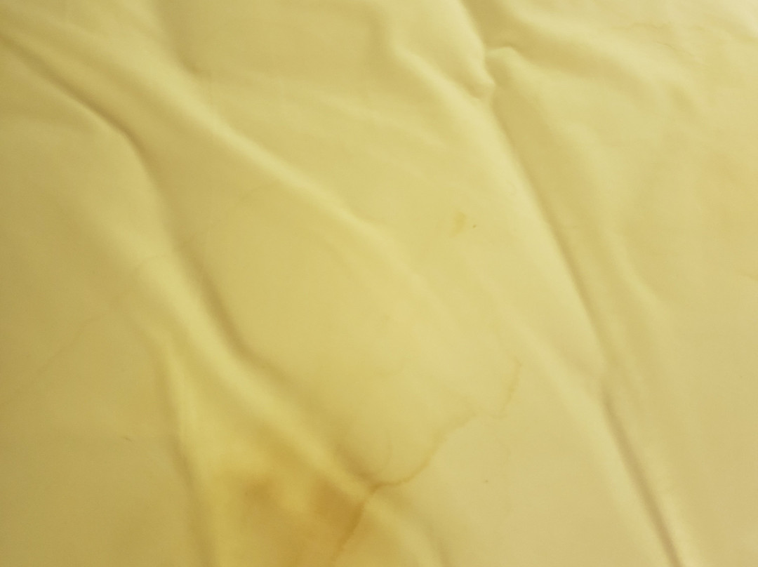 美国芝加哥长住酒店-莱尔主图