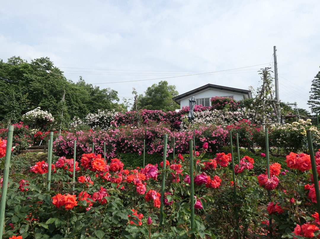 Sosho Park-南阳市必去景点
