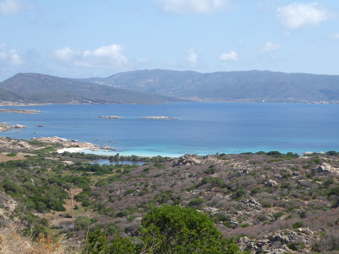 Cala Rosa Club Hotel主图