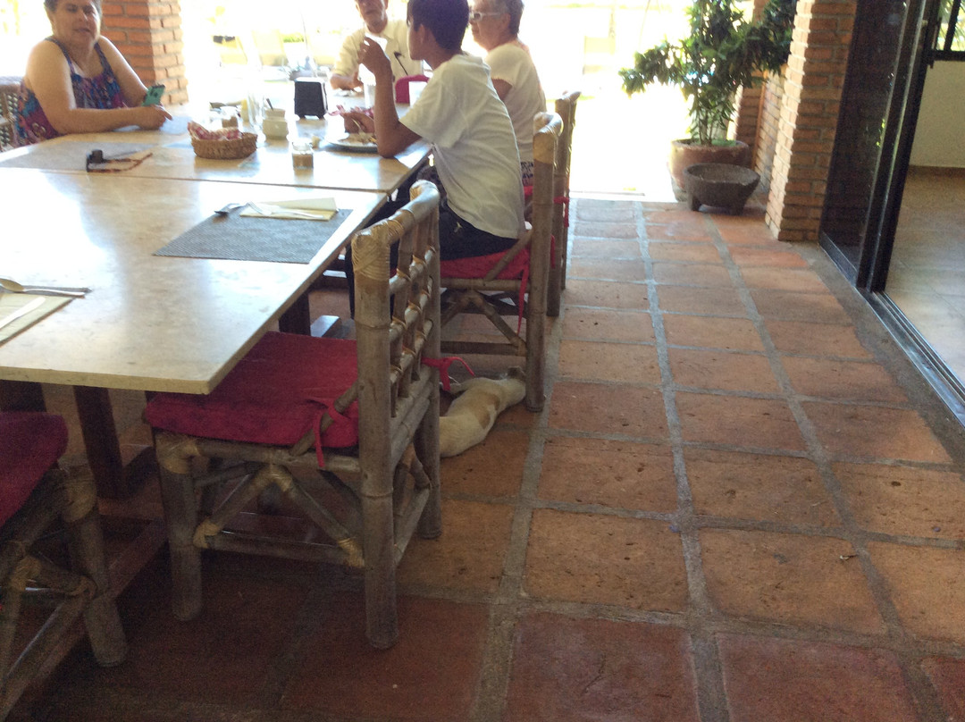 Taboga Eco Boutique Hotel主图