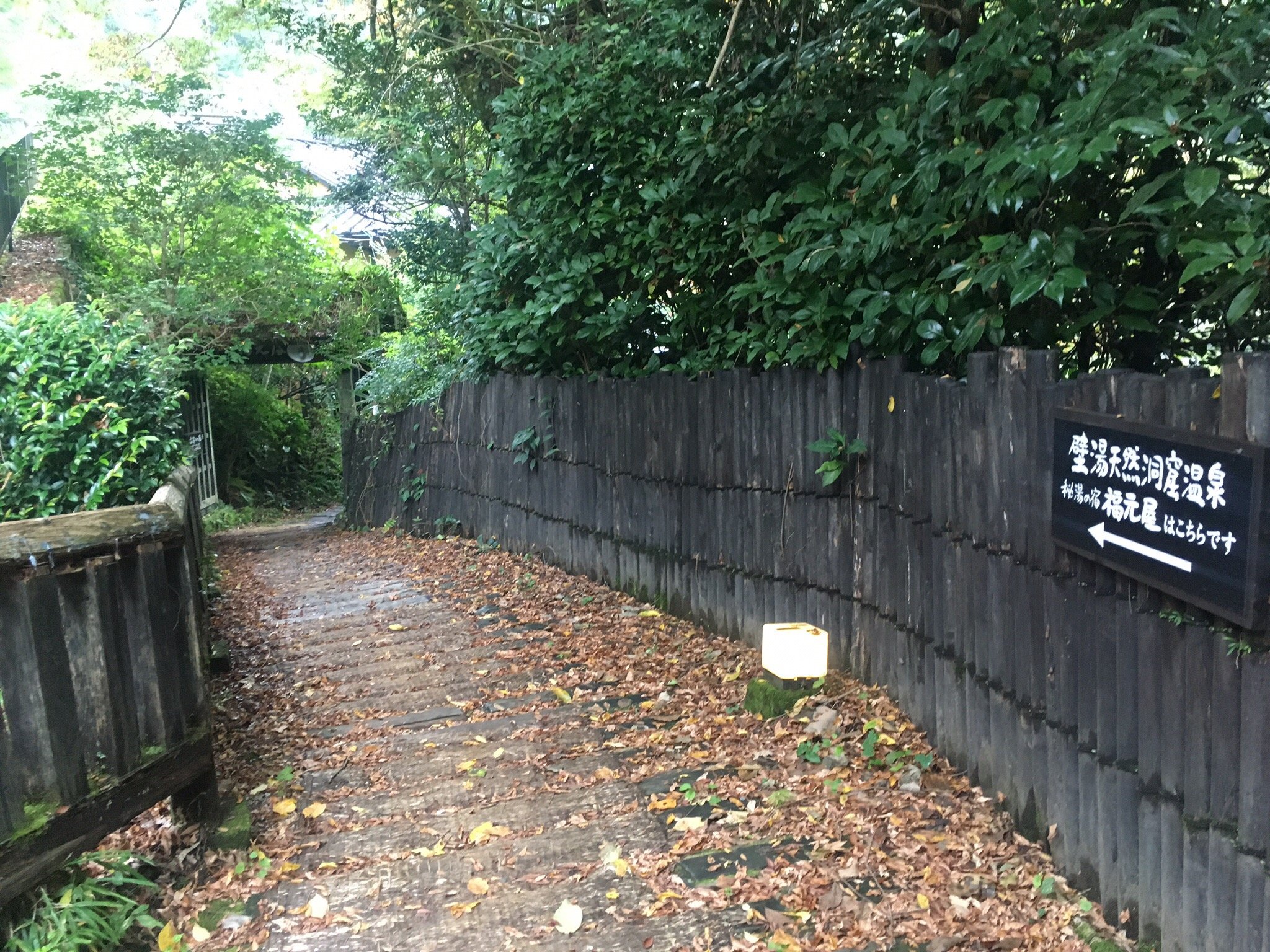 Fukumotoya-官方