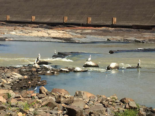 Burdekin Dam-Ravenswood必去景点