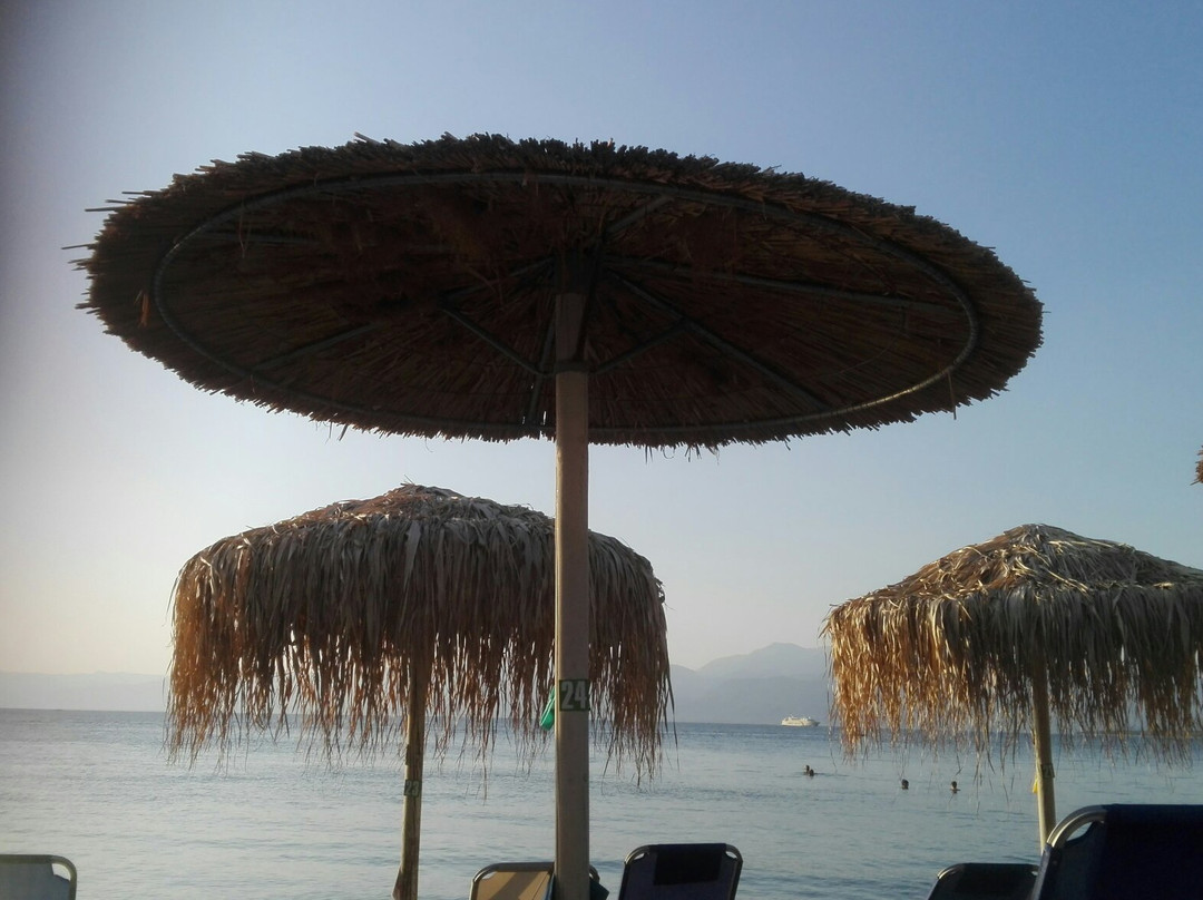 Hotel Violetta主图