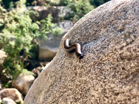 密云龙云山-北京市必去景点