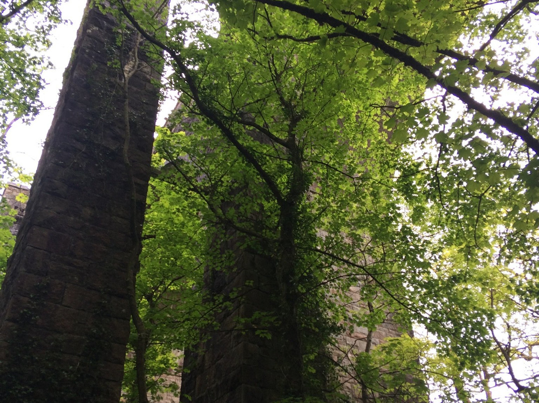 Long Timber Woods-Ivybridge必去景点