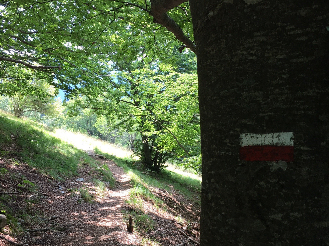 Sentiero F10 Ponte Forcone - Monte Marsicano-Opi必去景点