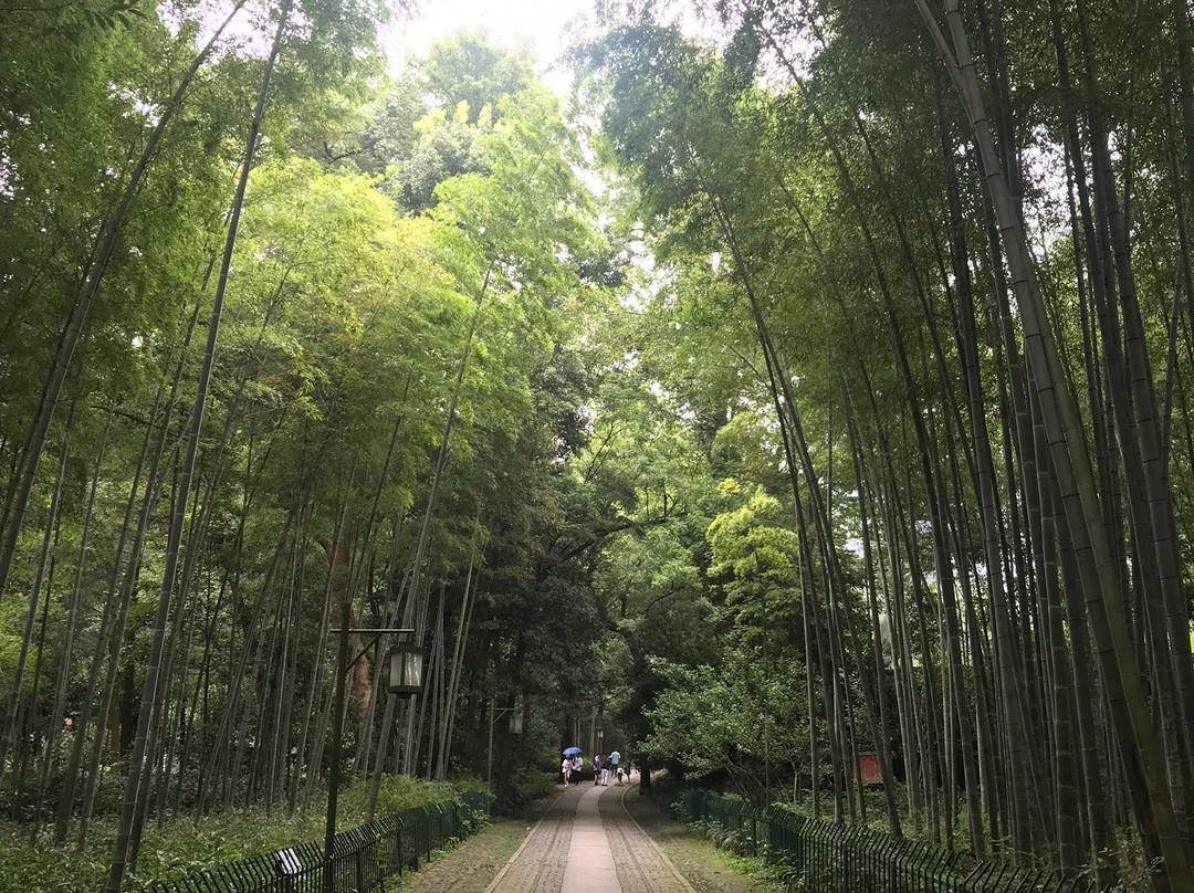 云栖竹径-杭州市必去景点