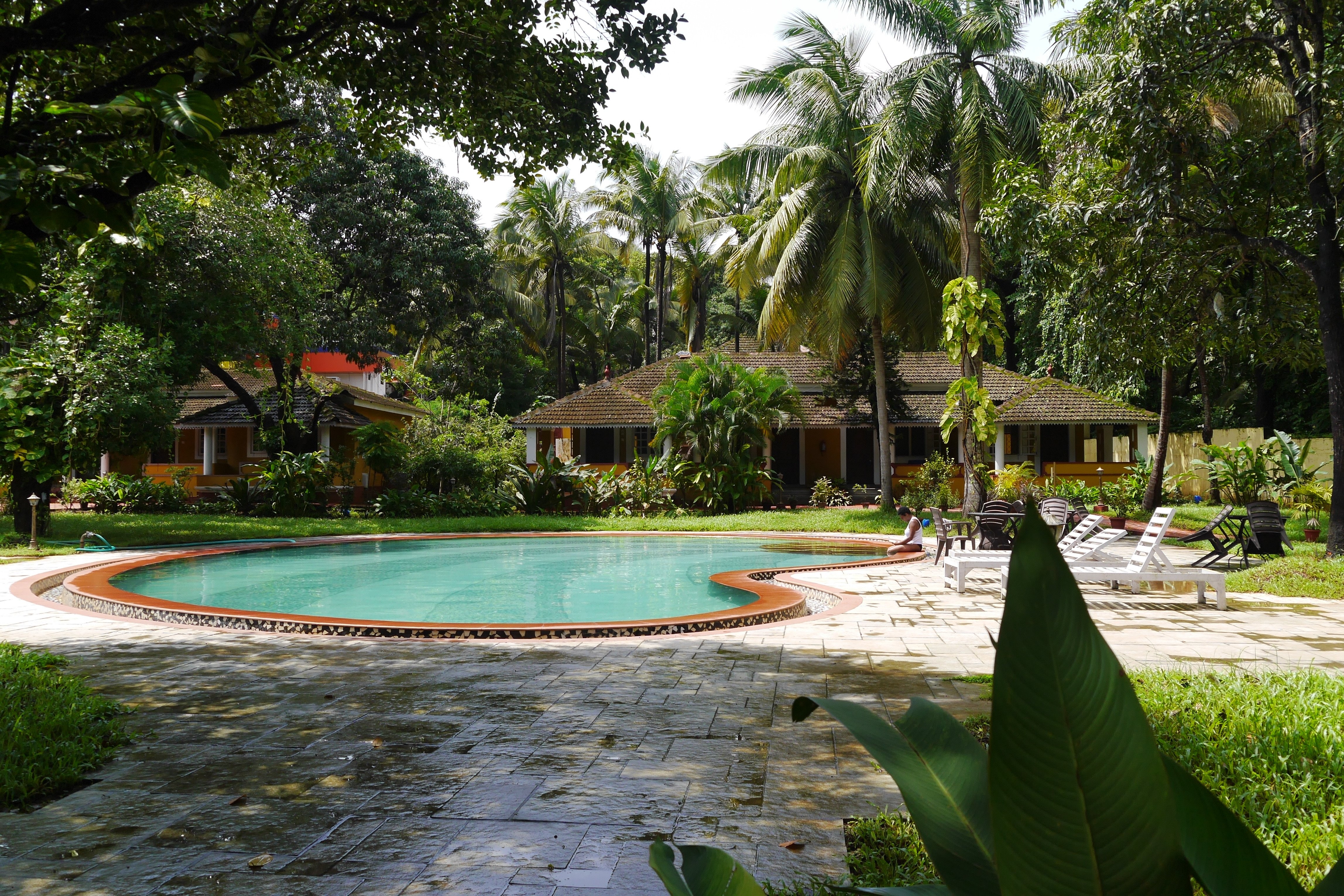 Granpa's Inn Hotel Bougainvillea-泳池