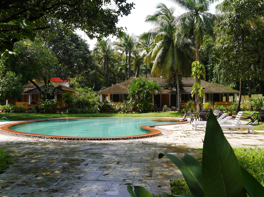 Granpa's Inn Hotel Bougainvillea主图