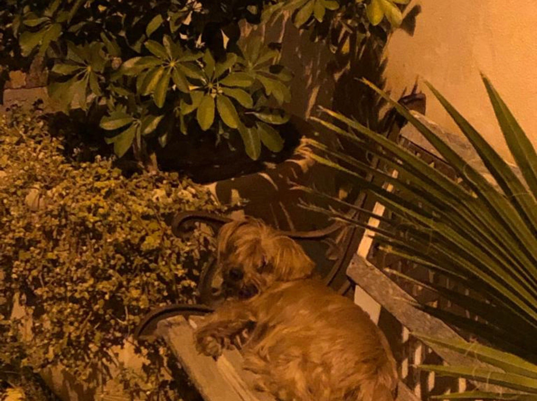 Affittacamere Belvedere La Peonia主图