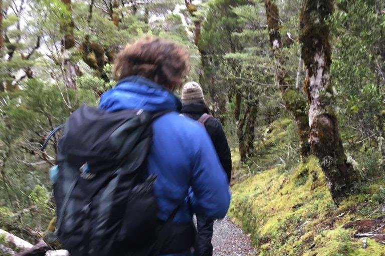 Spanish Driver & Guide / Guía y chofer en español-基督城必去景点