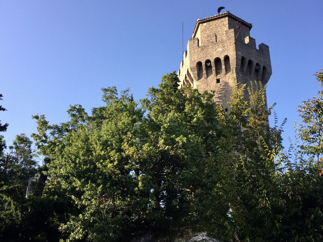 Cesta Tower景点图片