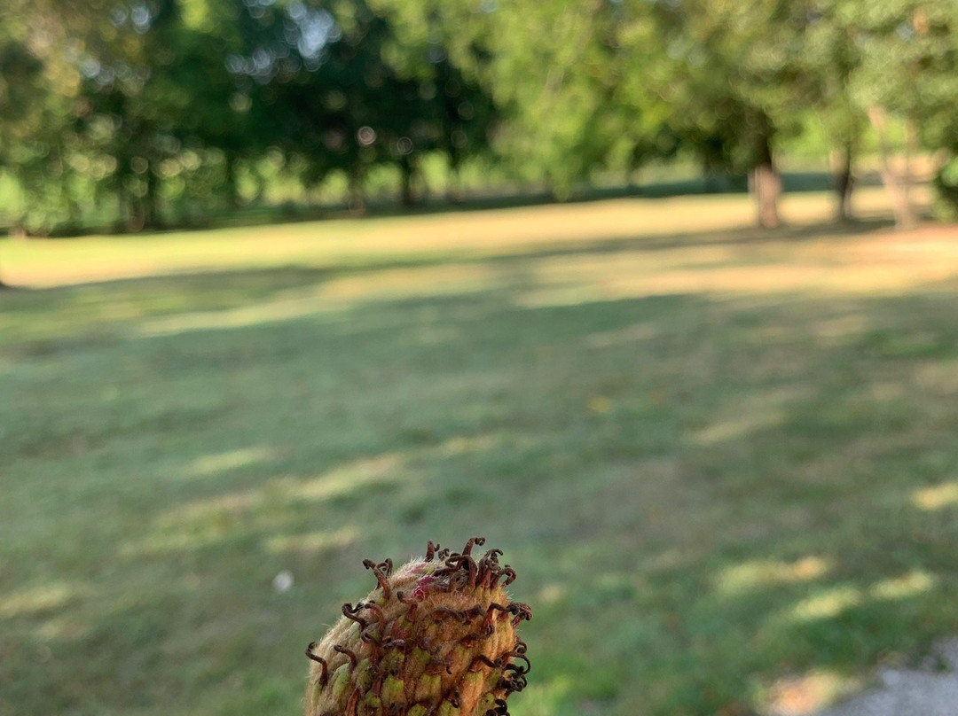 Chateau Senailhac主图