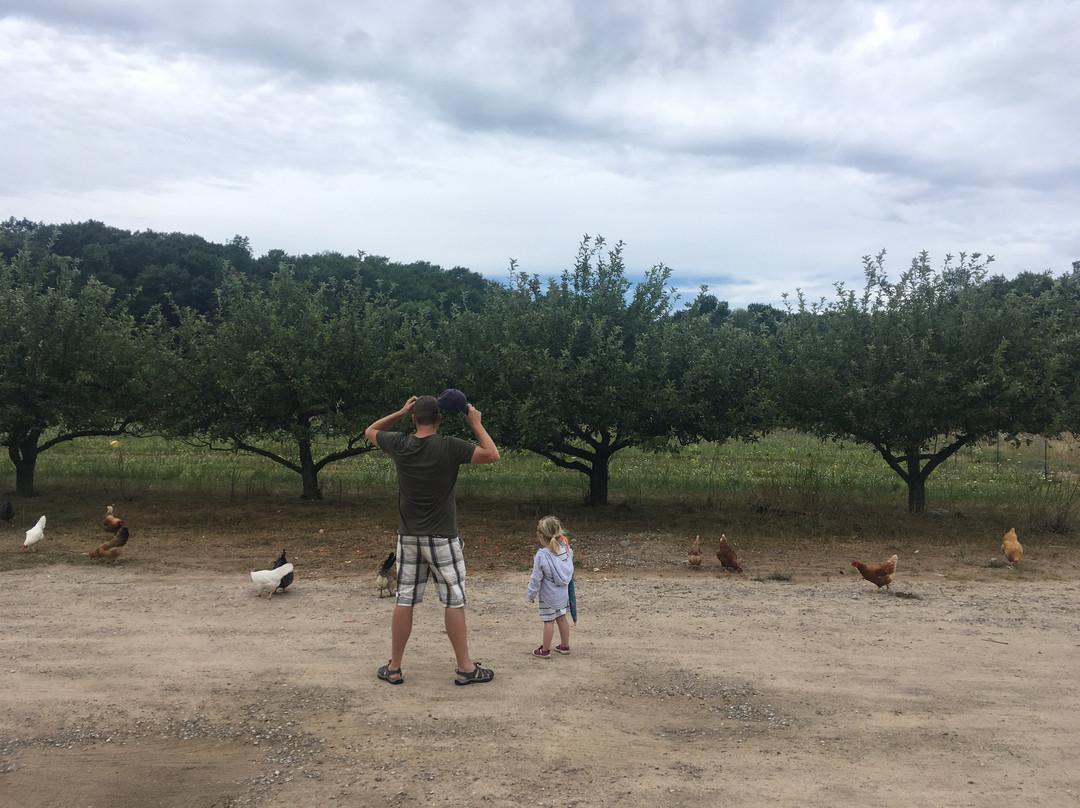 Green Bird Organic Cellars &  Farm景点图片