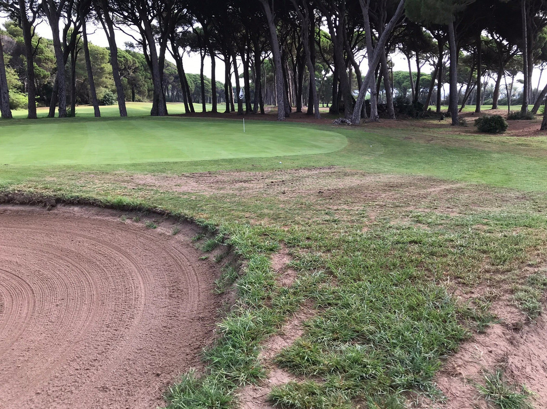 Old Course Cannes Golf Links景点图片